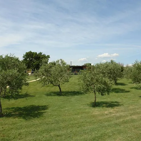 House Beta With Pool, Jacuzzi, Playground & Bbq In An Olive Grove With A Beach, Pomer - Istria Ferienhaus *