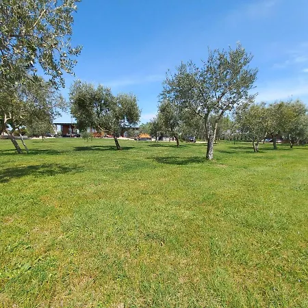 Beach House Beta With Pool, Jacuzzi, Playground & Bbq In An Olive Grove With A Beach, Pomer - Istria * Pula