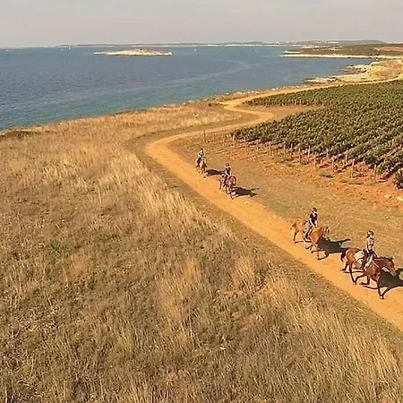 Vikendica Beach House Beta With Pool, Jacuzzi, Playground & Bbq In An Olive Grove With A Beach, Pomer - Istria