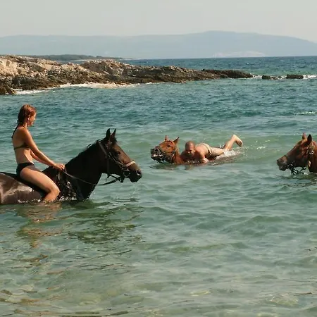 Beach House Beta With Pool, Jacuzzi, Playground & Bbq In An Olive Grove With A Beach, Pomer - Istria Vikendica *