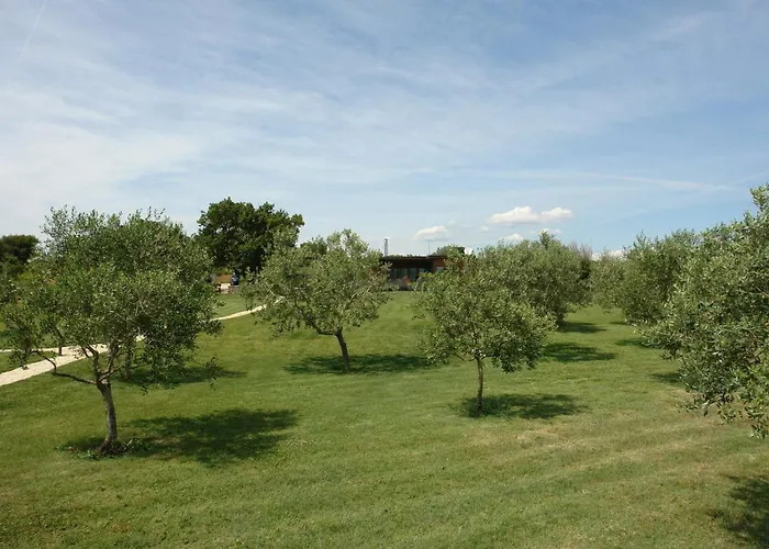 House Beta With Pool, Jacuzzi, Playground & Bbq In An Olive Grove With A Beach, Pomer - Istria Prázdninový dům *