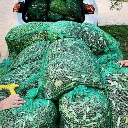 House Beta With Pool, Jacuzzi, Playground & Bbq In An Olive Grove With A Beach, Pomer - Istria * Pula