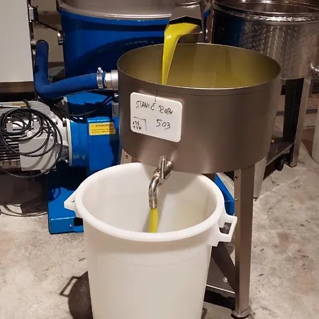 House Beta With Pool, Jacuzzi, Playground & Bbq In An Olive Grove With A Beach, Pomer - Istria