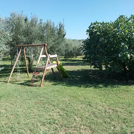 House Beta With Pool, Jacuzzi, Playground & Bbq In An Olive Grove With A Beach, Pomer - Istria プーラ