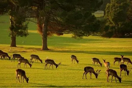 House Beta With Pool, Jacuzzi, Playground & Bbq In An Olive Grove With A Beach, Pomer - Istria Hébergement de vacances Pula