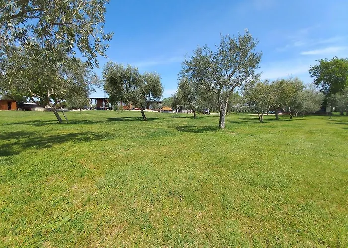 Beach House Beta With Pool, Jacuzzi, Playground & Bbq In An Olive Grove With A Beach, Pomer - Istria * Pula