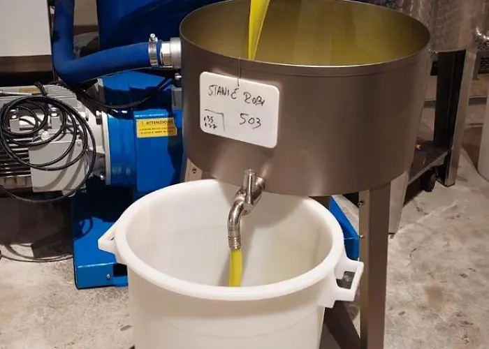 Beach House Beta With Pool, Jacuzzi, Playground & Bbq In An Olive Grove With A Beach, Pomer - Istria