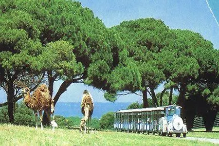 Holiday home Beach House Beta With Pool, Jacuzzi, Playground & Bbq In An Olive Grove With A Beach, Pomer - Istria Pula