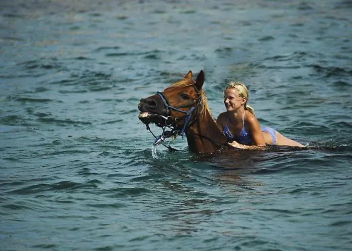 Beach House Beta With Pool, Jacuzzi, Playground & Bbq In An Olive Grove With A Beach, Pomer - Istria * Pula