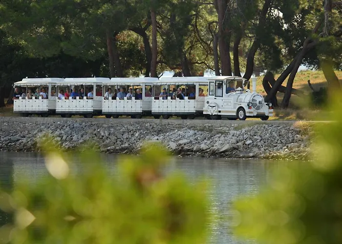 Beach House Beta With Pool, Jacuzzi, Playground & Bbq In An Olive Grove With A Beach, Pomer - Istria Holiday home