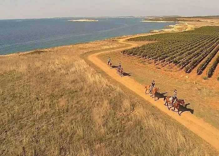 Holiday home Beach House Beta With Pool, Jacuzzi, Playground & Bbq In An Olive Grove With A Beach, Pomer - Istria