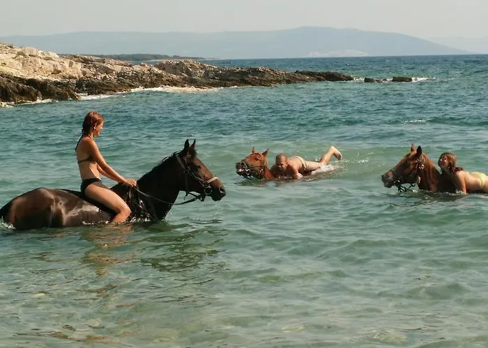 Beach House Beta With Pool, Jacuzzi, Playground & Bbq In An Olive Grove With A Beach, Pomer - Istria Holiday home *